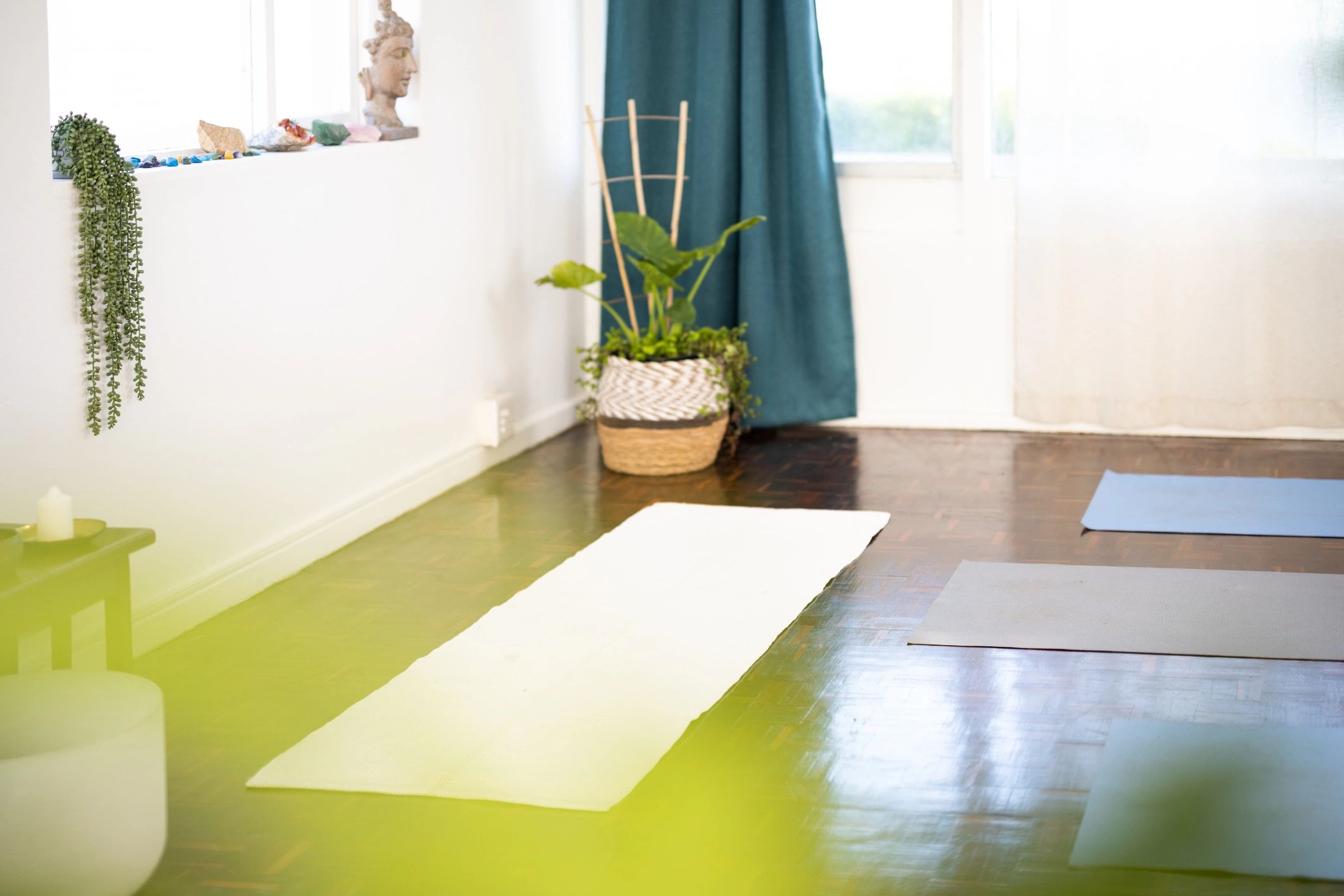 Calm yoga studio interior with natural light and plants